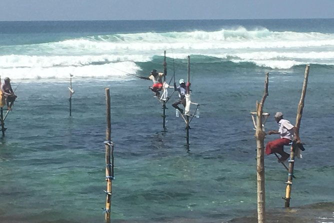 Sri Lanka round tour - Why Choose This Tour?