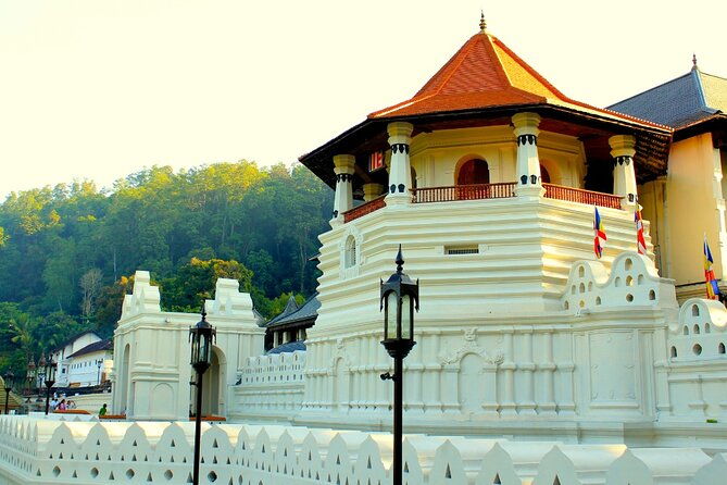 Sri Lanka tour 8 Days with a private driver, hotels, and vehicle - The Sum Up  