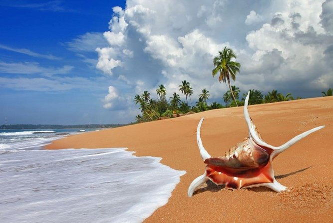 Sri Lanka tour itinerary . 6N/7D with driver, vehicle and H/B accommodations - Who Is This Tour Best Suited For?