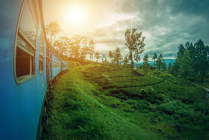 Sri Lanka Tour Package in 05 Nights 06 Days - Authentic Experiences and Tips from Reviewers