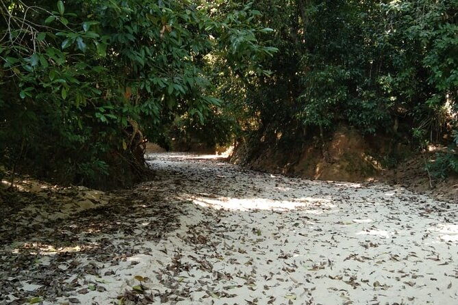 Srimangal nature tour in forest and tea garden - Who Is This Tour Best For?