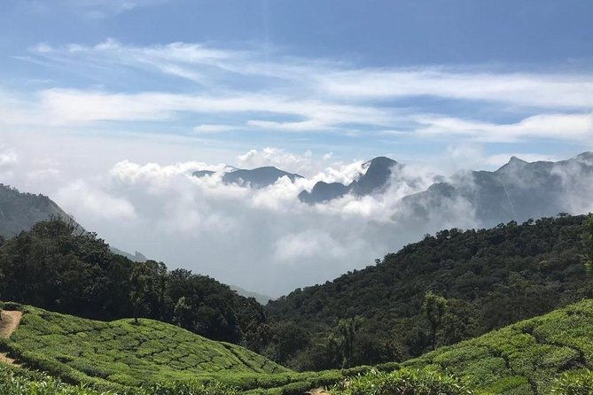 Sunrise Tour in Top Station, Munnar ( By Munnar Info) - Final Thoughts