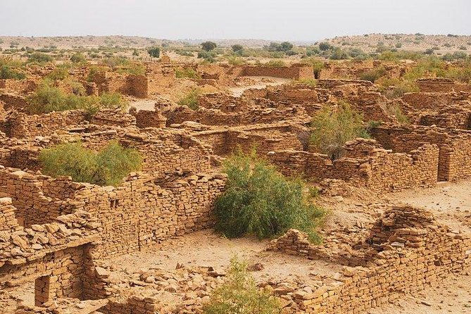Sunset Cultural Desert Safari Tour Package - Who Should Book This Tour?