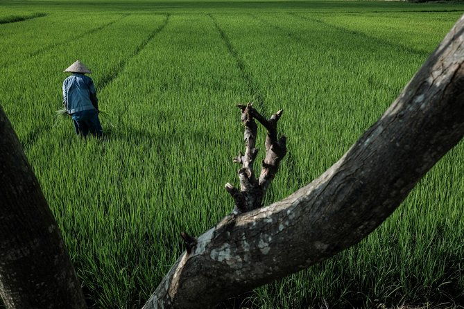 Sunset photo tour with the farmers - Who Will Appreciate This Tour?
