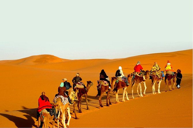 Sunset Safari With Dinner - Who Should Book This Experience?