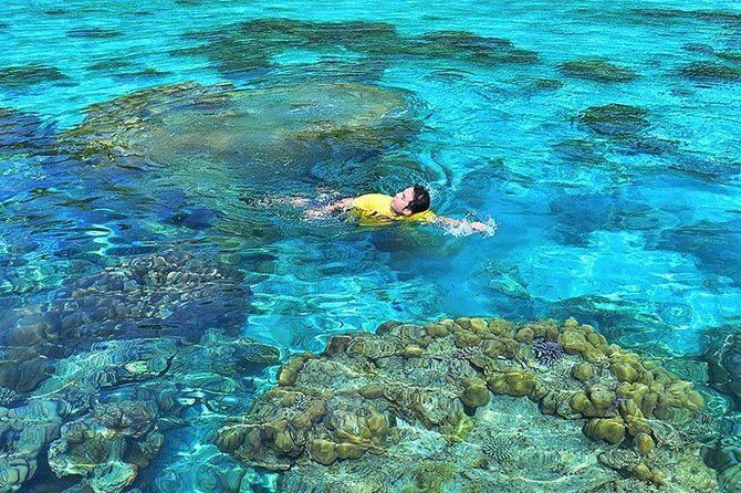 Surin Islands Snorkeling Day Trip By Love Andaman From Phuket - The Pros and Cons Based on Real Experiences