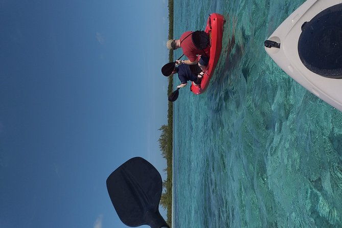 Sweetings Cay Mangrove Kayaking and Turtles - Potential Drawbacks and Things to Keep in Mind