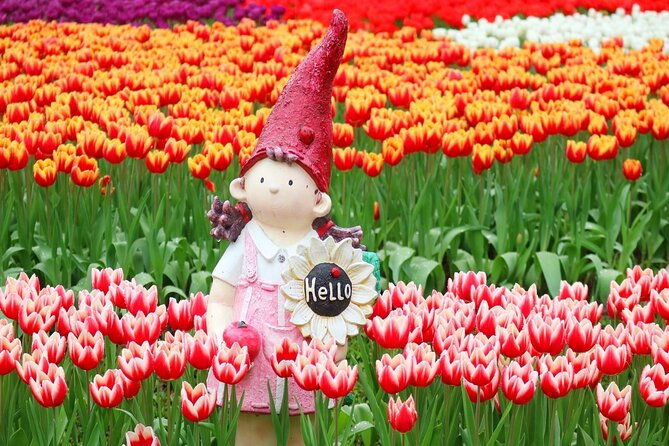Taipei Cherry Blossom Day Tour to Yangmingshan and Tamsui - Possible Drawbacks or Considerations