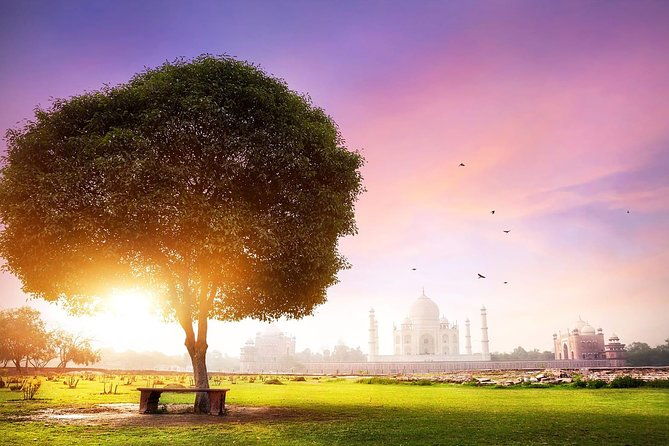 Taj Mahal Sharing Same Day Trip From Delhi Including all - Authentic Experiences & Review Insights