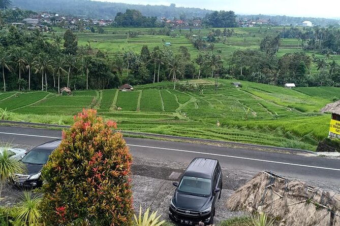 Tanah Lot Tour & North Bali Tour : All-Inclusive Best Experience - Jatiluwih Rice Terraces: Bali’s UNESCO Heritage Site