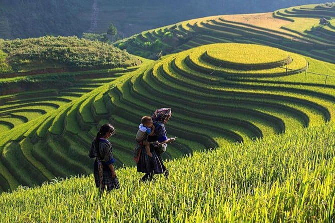 Tandem Paragliding Experience in Hanoi - The Sum Up: Is It Worth It?