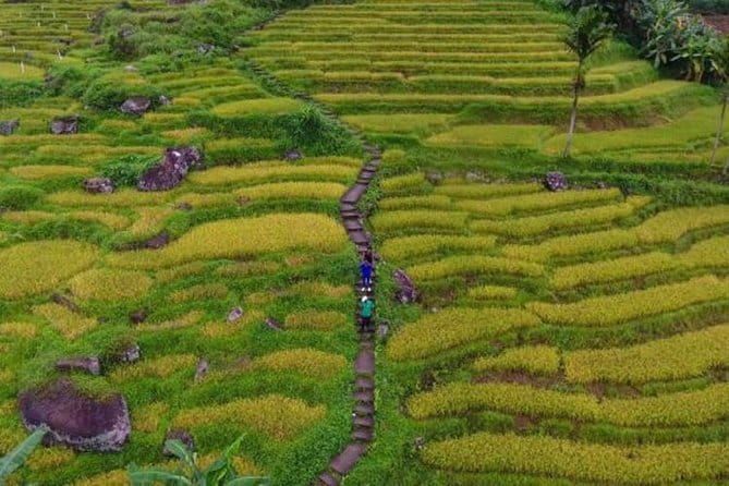 Tea Loops E-Biking - The Sum Up: Why You Should Consider This Tour