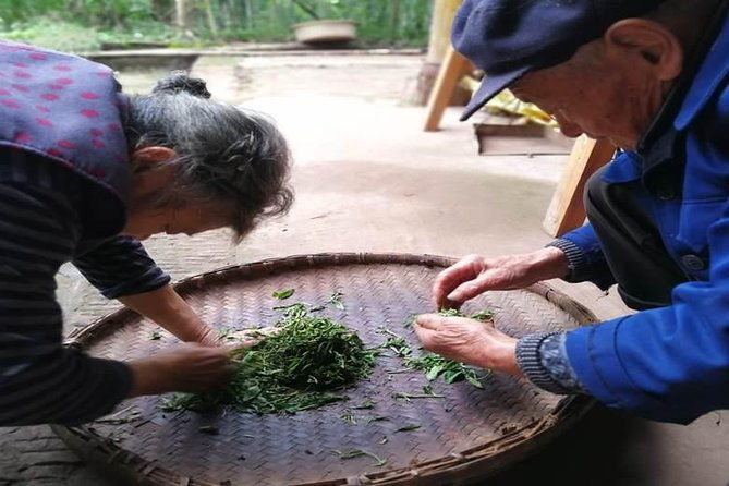 Tea Village in lost Town and Buddha 1 day tour - Who Would Love This Tour?