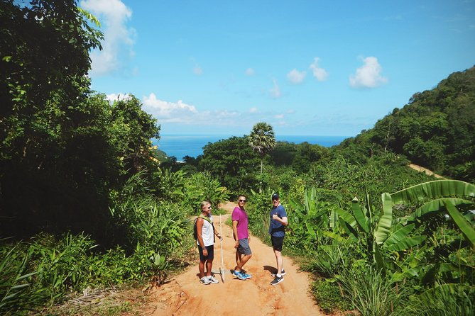 Temple and Jungle Trekking tour with Lunch at Farm-to-Table - Who Should Book This Tour?