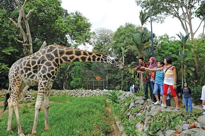 Terengganu Wildlife Kayak Tour - Who Should Consider This Tour?