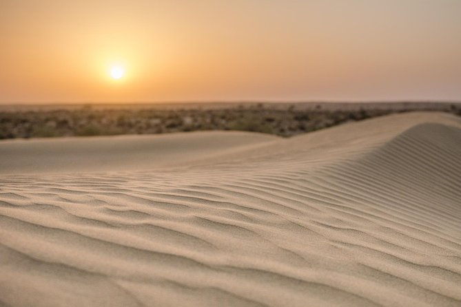 The Billion stars Experience in the Desert - The Bottom Line