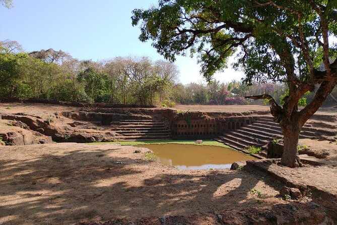 The Divar Island Exploration - Final Thoughts
