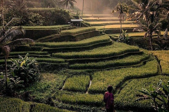 The Gates of Heavan - Ubud Jungle Swing & Waterfall Tour - The Sum Up: Who Is This Tour Best For?