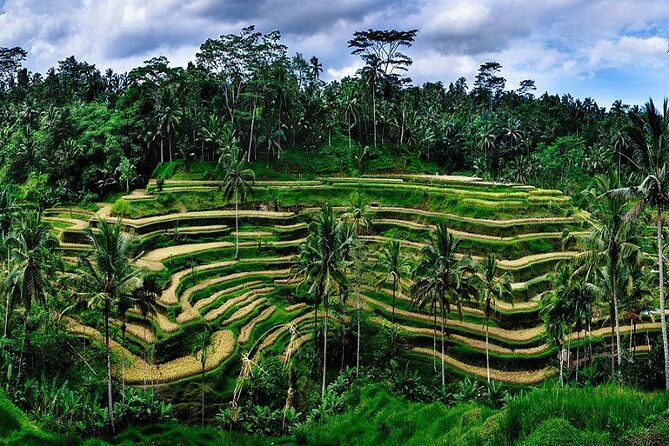 The Popular Of Ubud Private Day Tour - FAQ
