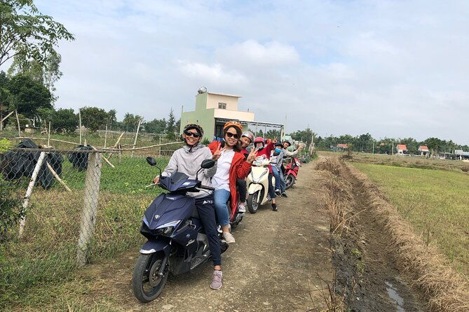 The Real of Rural Hoi An - The Sum Up: Who Is This Tour Best For?