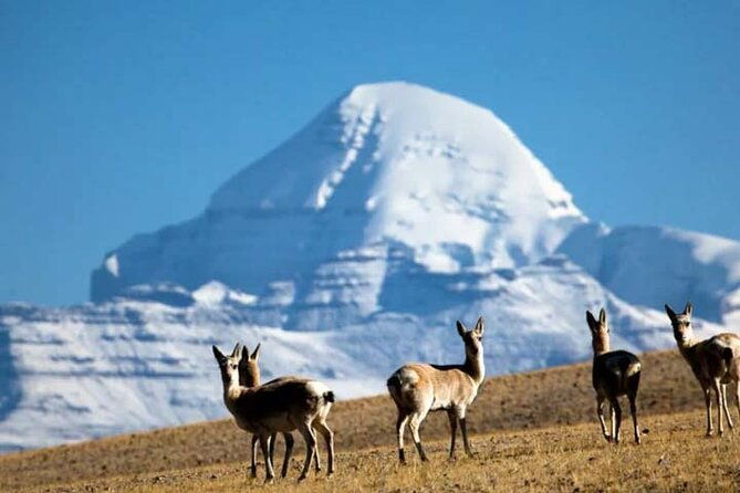 Tibet Tour 15 Days Lhasa to Kailash Trekking Small Group via EBC - Frequently Asked Questions