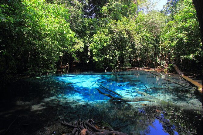 Tiger Cave Temple, Emerald Pool & Hot Springs Tour from Krabi - Practical Details and Value
