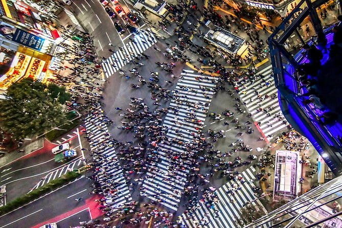 Tokyo Private Chauffeur Tour - Fully Guided - Who Is This Tour Best Suited For?