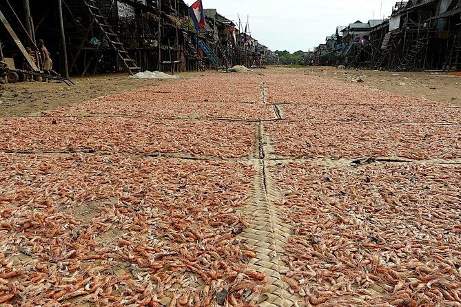 Tonle Sap Lake & Kampong Phluk Half-Day Tours - The Sum Up: Is It Worth Your Time?