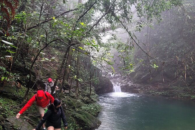 Transfer from Hue to Da Nang or Hoi An via Bach Ma National Park - FAQ