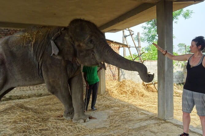 Travel to Nepal 10 days to explore the Culture and Best Views - The Sum Up