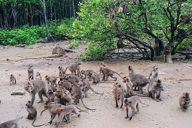 Trek Can Gio Mangrove, Monkey Island with Croc Farm & Cano Option - Practical Tips for Your Trip