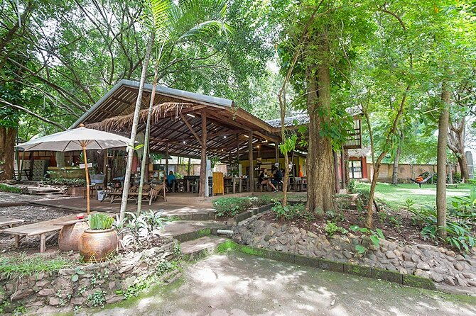 Trek to a Jungle Waterfall - Who Should Consider This Tour?