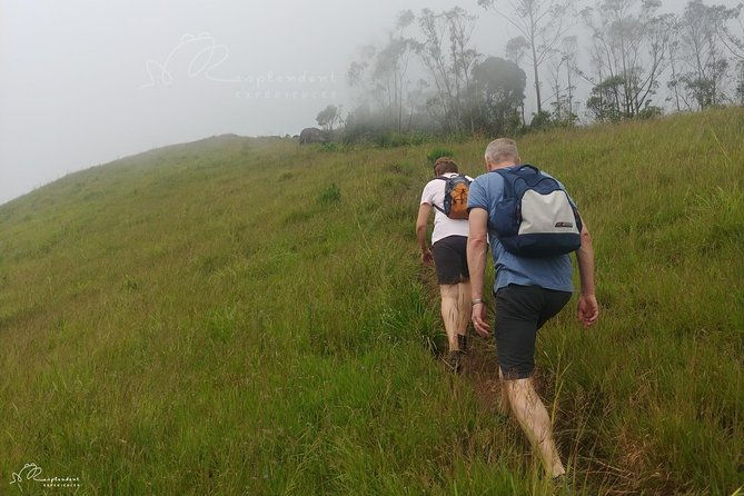 Trekking in Munnar - The Sum Up