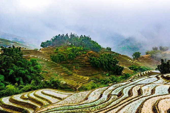 Trekking Through Rice Terraced Fields - 1Day - Who Should Consider This Tour?