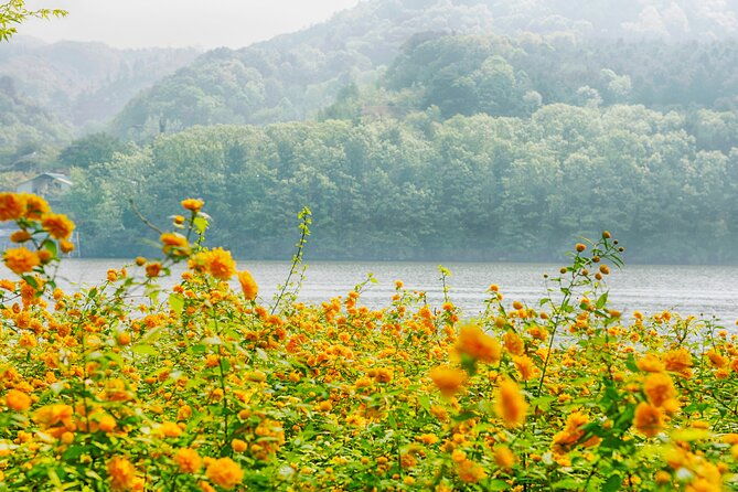 Trip to Nami Island with Petite France & Italian Village, Garden of Morning Calm - FAQs