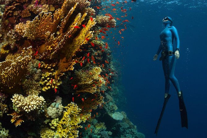 Try Freediving on Nusa Penida - Why This Tour Stands Out