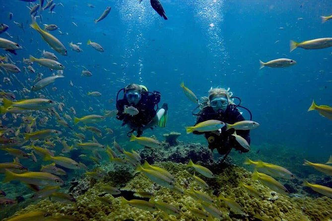 Try Scuba Diving - Why This Tour Works for Different Types of Travelers