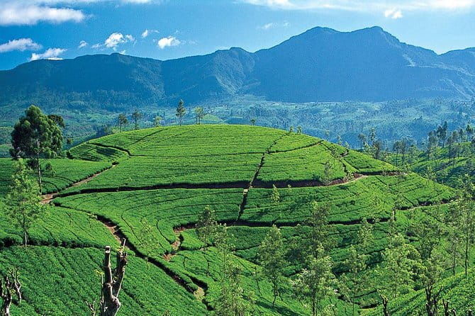 Tuk tuk colombo Sightseeing tour - Who Will Love This Tour?