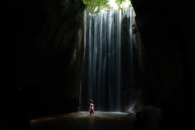 Tukad Cepung Waterfall, Bali Swing & Traditional Village Day Tour - Who Would Love This Tour?