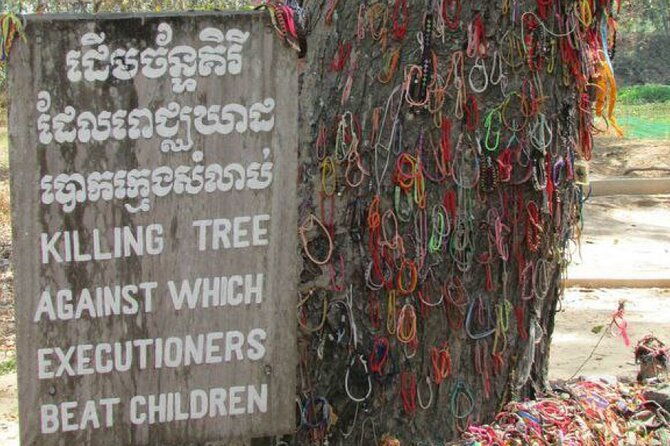 Tuol Sleng Genocide Museum (S-21) and Choeung Ek Killing Fields Tour - Who Should Join This Tour?