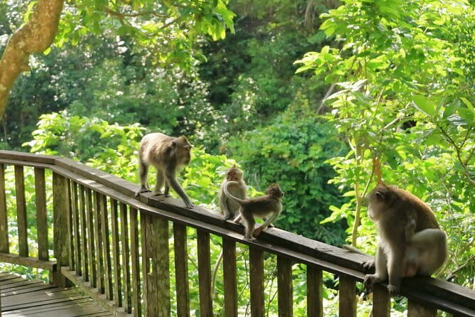 Ubud All-Inclusive Tour with Swing and Lunch - Final Thoughts