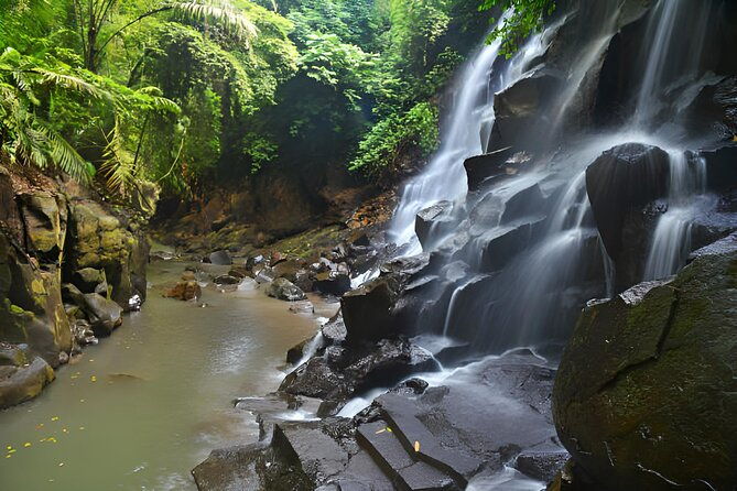 Ubud Bali: Rice Terrace, Waterfall and Tirta empul Day Tour - What Makes This Tour Stand Out?