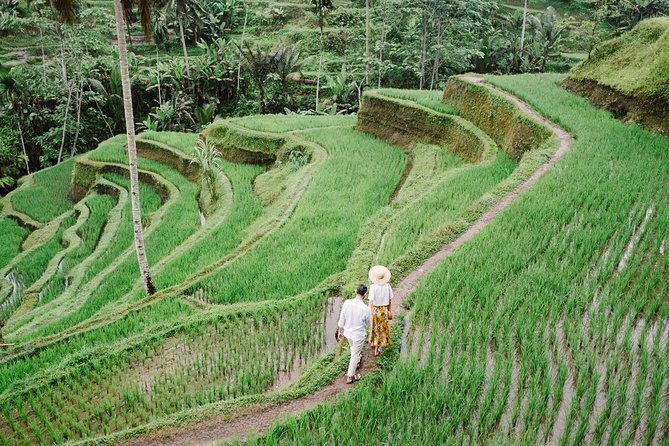 Ubud City Tour II: Monkey Forest, Palace, Art Market, and Rice Terrace - What’s Included & What’s Not
