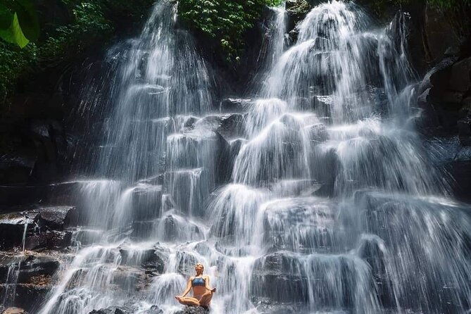 Ubud Customized Full Day Tour - Visit Most favorite In Ubud - Who Will Love This Tour?
