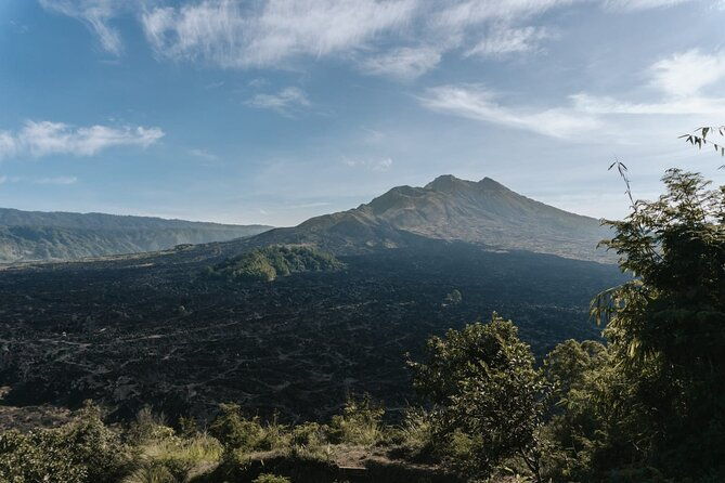 Ubud: Downhill Cycling with Volcano, Rice Terraces and Meal - Insights from Genuine Reviews