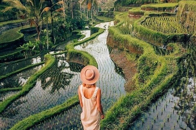 Ubud Explorer Private Day Tour - Authentic Insights from Past Travelers