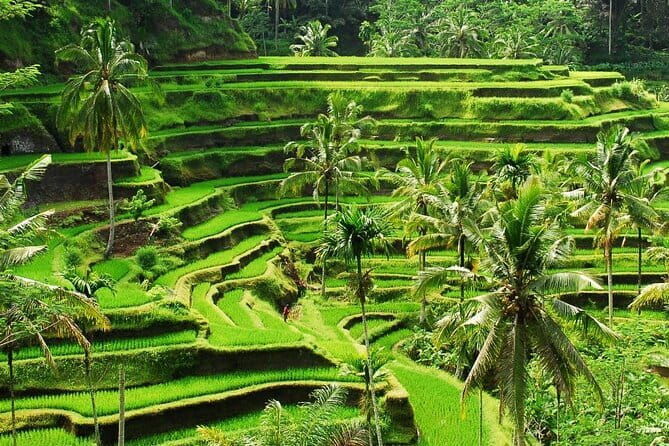 Ubud Full Day Private Tour with All Inclusive - Frequently Asked Questions