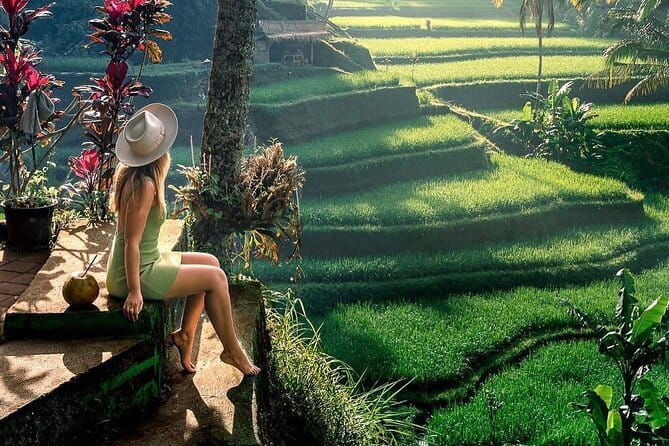 Ubud Highlights -Private Tour,Temples, Waterfalls & Rice terraces - Transportation & Overall Experience