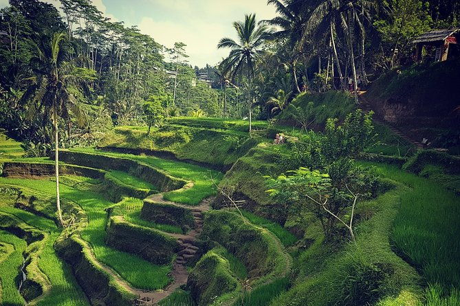 Ubud iconic waterfall and temple tours - Detailed Breakdown of the Itinerary
