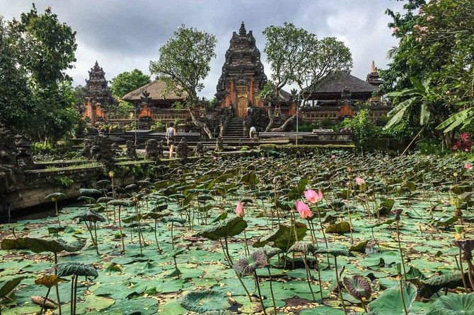 Ubud Instagram Spots Tour - One Day Private Trip - Why This Tour Is a Great Choice